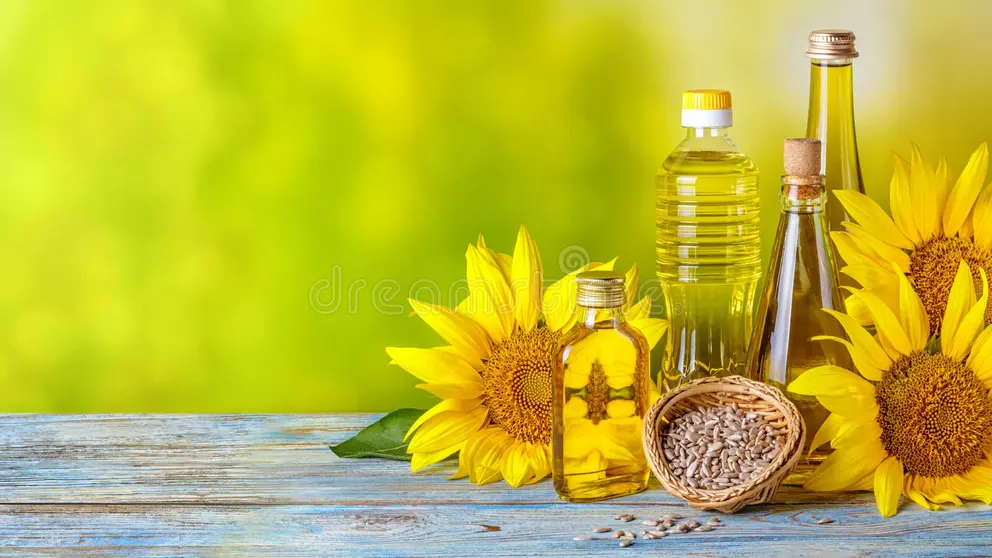 rural-still-life-banner-sunflower-oil-bottles-flowers-sunflower-helianthus-annuus-closeup-space-text-rural-197735630